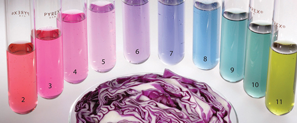 Test-pH-of-Water-Using-a-Red-Cabbage