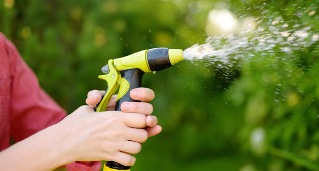Garden Hose