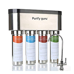 Purify Guru Smart 