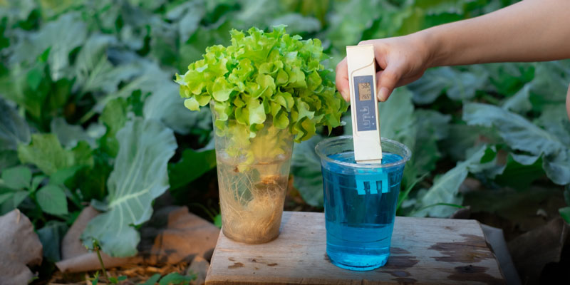 TDS Meter
