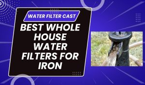 Best Whole House Water Filters For Iron