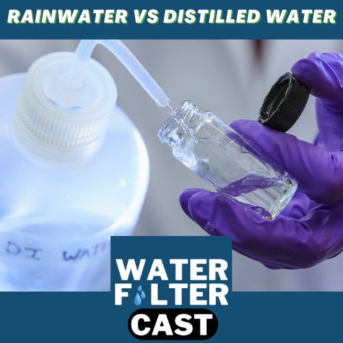 Rainwater vs Distilled Water