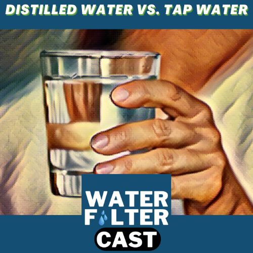 Distilled Water vs. Tap Water