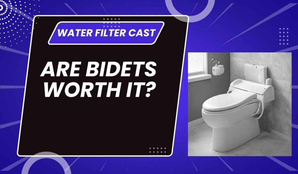 Are Bidets Worth It?
